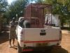 dog-and-cat-recovery-cages-kindly-donated-by-zambezi-crocodiles
