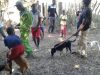 spay-campaign-in-chisumba-2